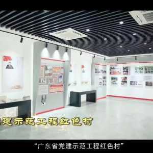 【广东走向振兴的“红色村”】桥陈创建生态型美丽新村