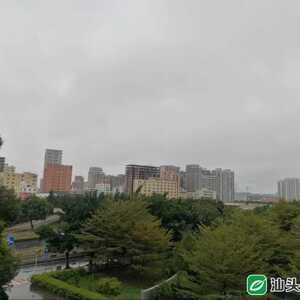 春雨赶来拜年!汕头明后天雨水持续在线,气温仍旧……